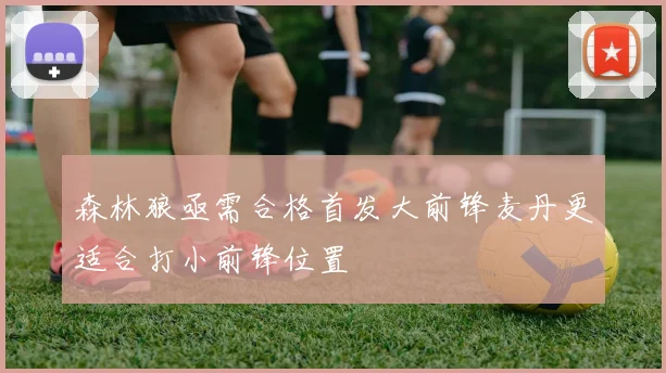 森林狼亟需合格首发大前锋麦丹更适合打小前锋位置