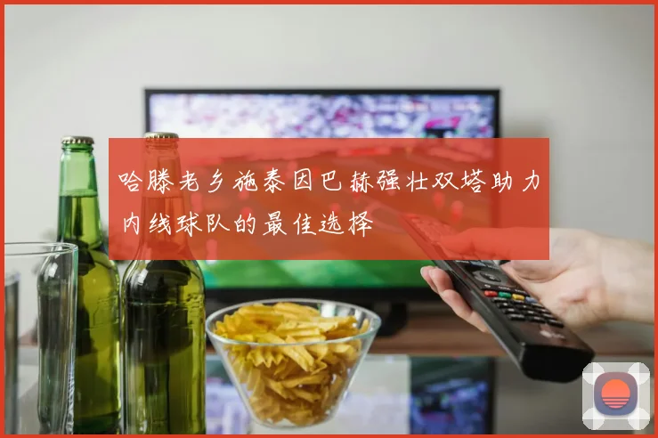 哈滕老乡施泰因巴赫强壮双塔助力内线球队的最佳选择